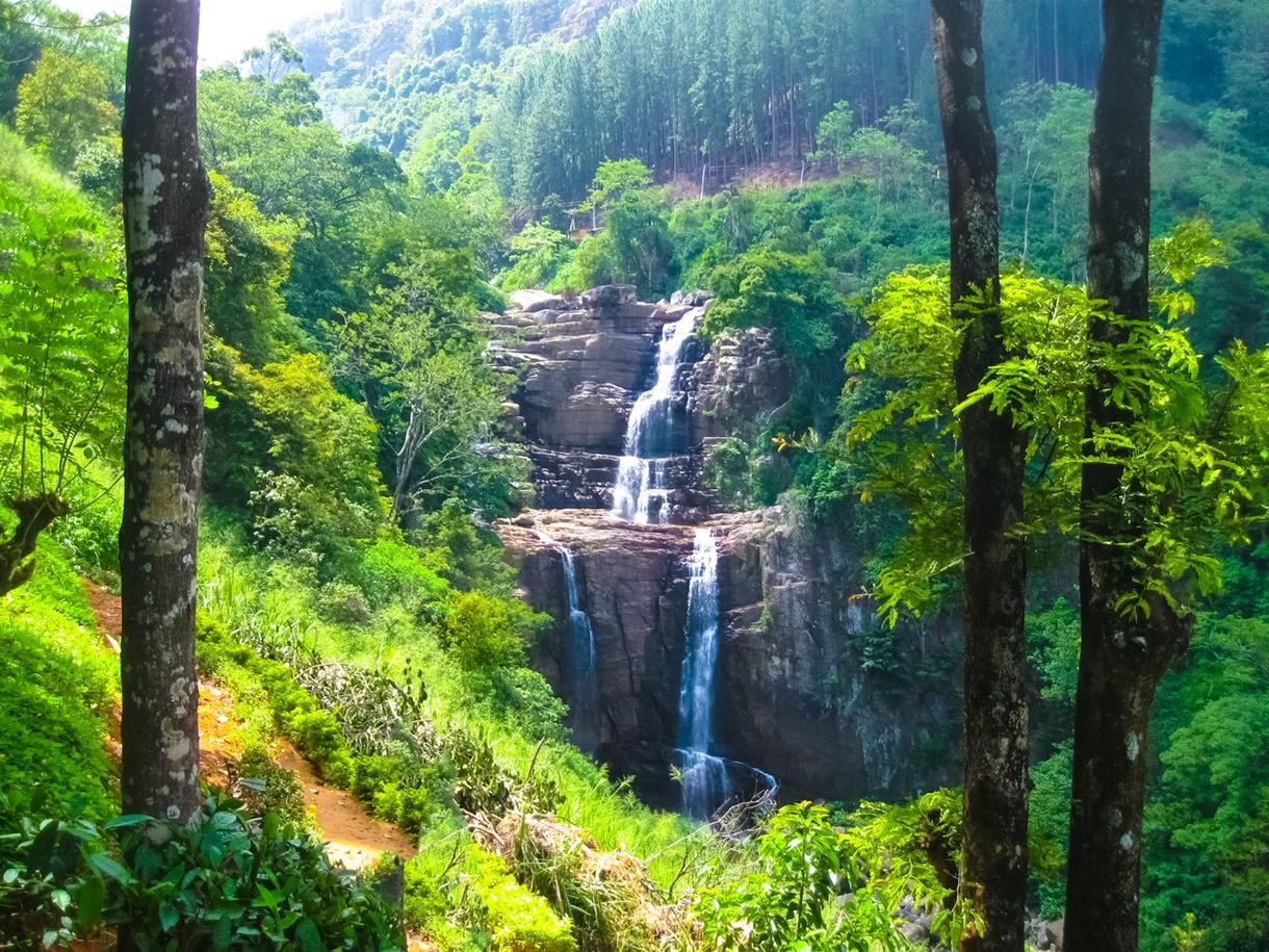 Chutes d'eau majestueuses en pleine forêt tropicale à Nuwara Eliya, Sri Lanka.