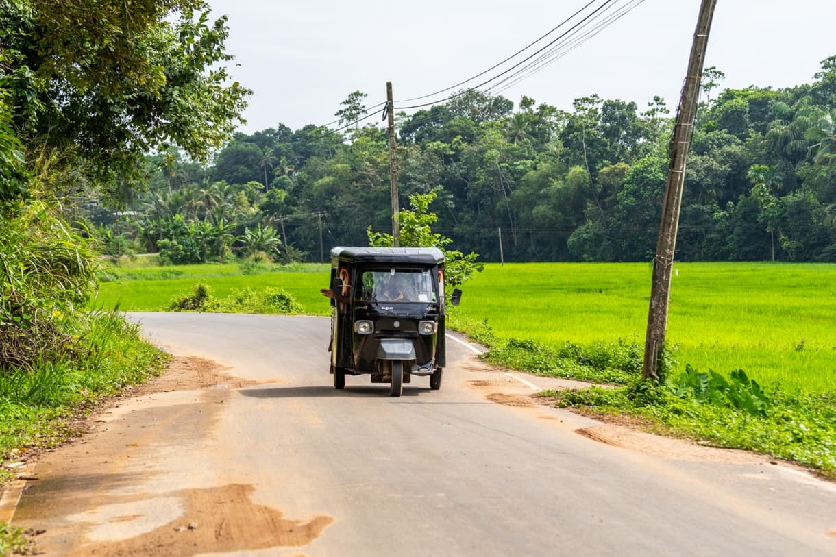 Tuk-tuk sur une route entourée de rizières verdoyantes au Sri Lanka