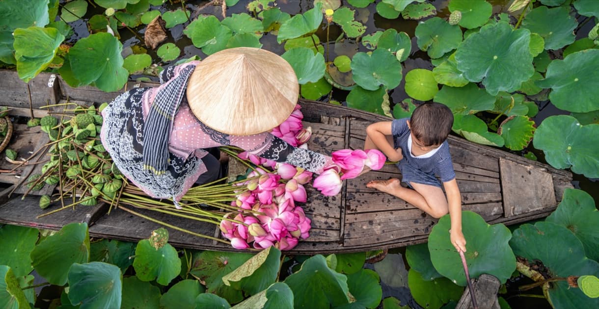 Mère et fils sur un bateau, cueillant des fleurs de lotus au Vietnam