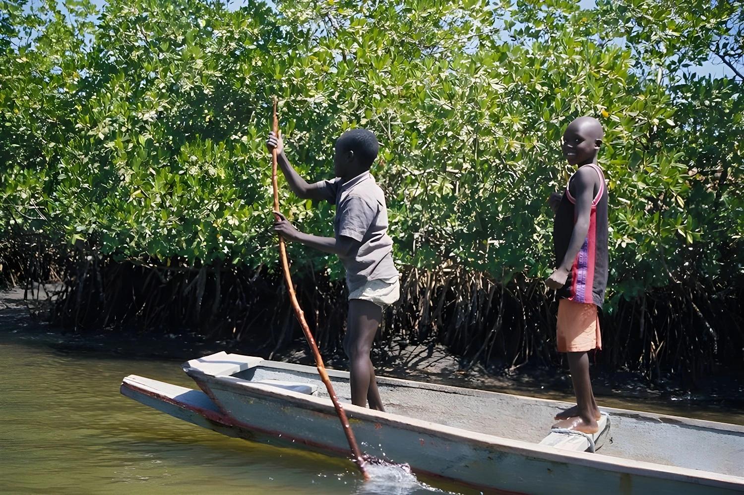 Vacances magiques au Sénégal : explorez le Siné Saloum