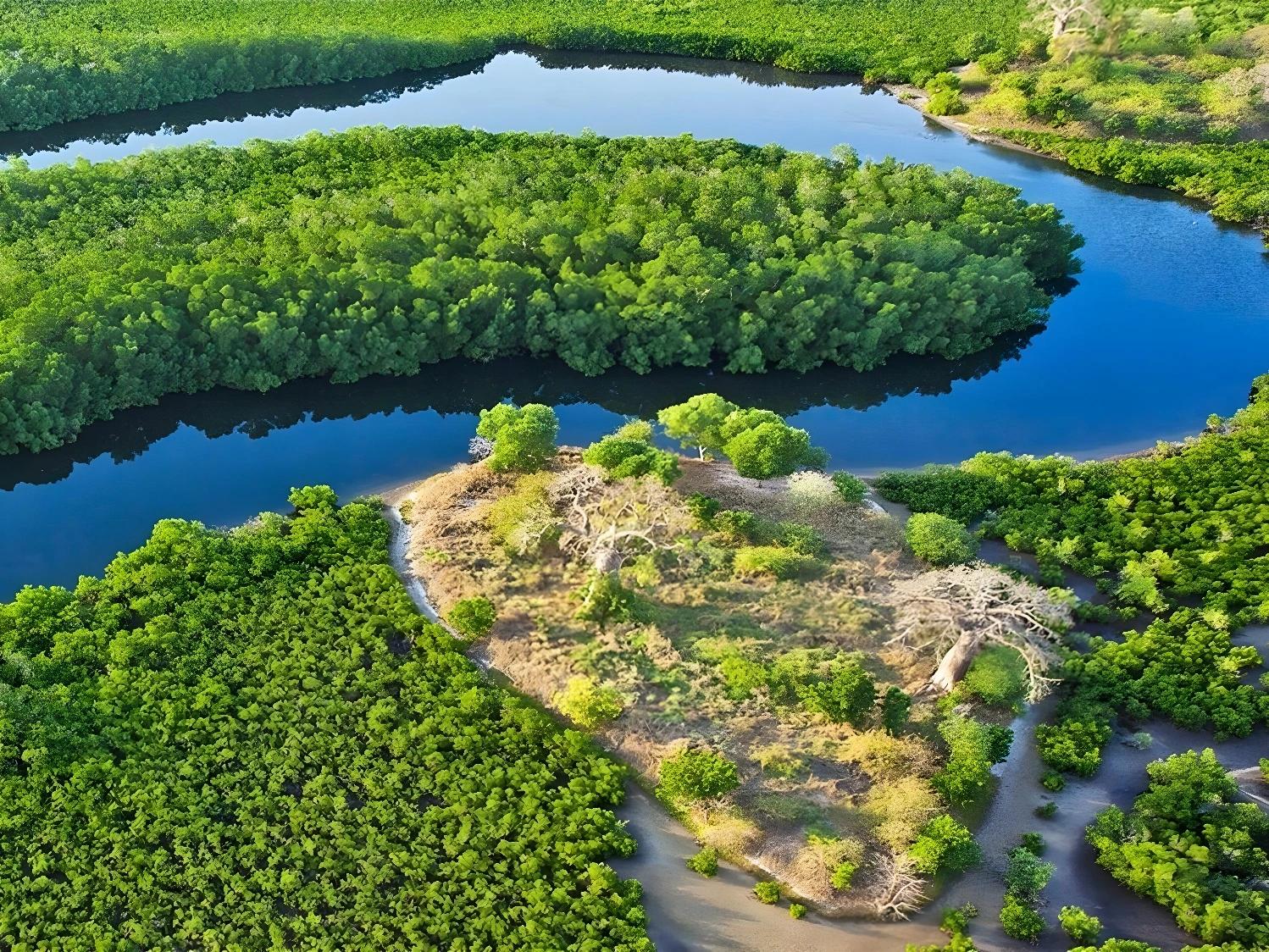 Aventure inoubliable au Sénégal : désert & mangroves en 7 nuits