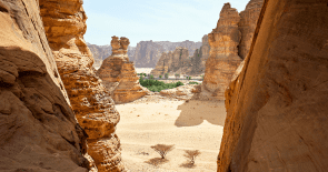 Arabie Saoudite