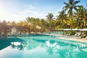 The Ravenala Attitude