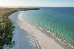 Nosy Be : La rose des vents