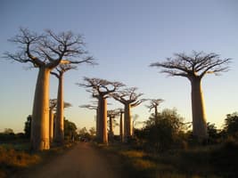 L'île rouge au fil de l'eau