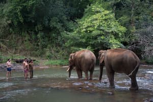 Cambodge secret, des îles du Mékong aux jungles du Mondulkiri
