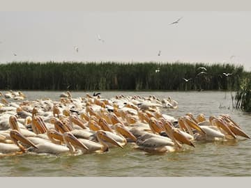 Sénégal authentique : immersion, culture et nature en 9 jours