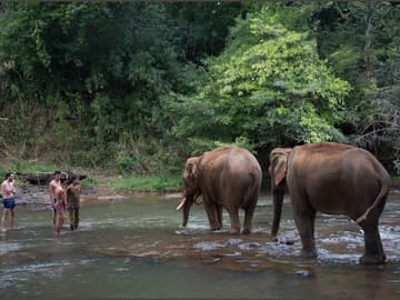 Cambodge: Îles du Mékong et Éléphants du Mondulkiri