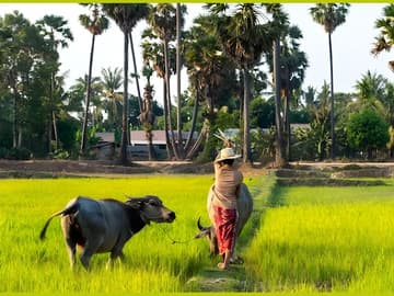 Aventure Cambodge : Phnom Penh, Battambang, Angkor Mystique