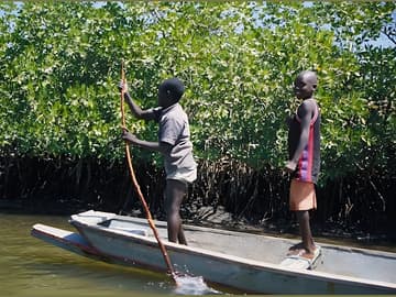 Vacances magiques au Sénégal : explorez le Siné Saloum