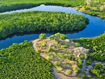 Aventure inoubliable au Sénégal : désert & mangroves en 7 nuits