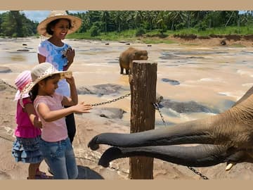 Sri Lanka : Éléphants, Plages et Thé en Famille
