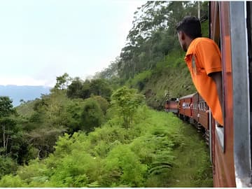 Train Sri Lanka : Aventure à travers thé et montagnes