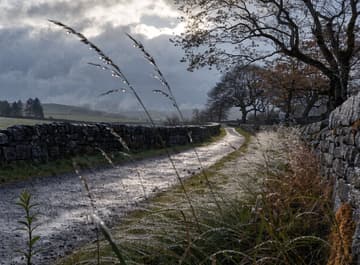 Explorez l'Irlande à Votre Propre Rythme
