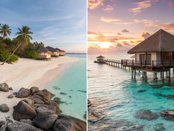 Image article