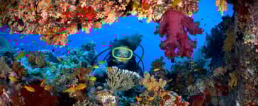 Expériences à vivre à Aqaba