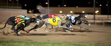 Expériences à vivre à Dublin