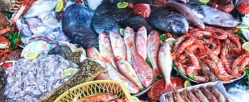 Expériences à vivre à Essaouira