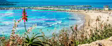 Expériences à vivre à Jaffa