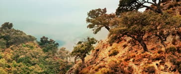 Expériences à vivre à Tarifa