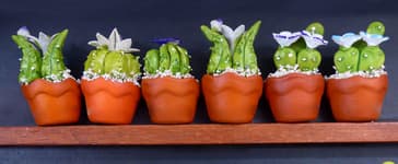 Faire du shopping aux Canaries