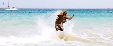 S'intégrer sur place