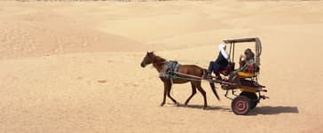 S'intégrer sur place