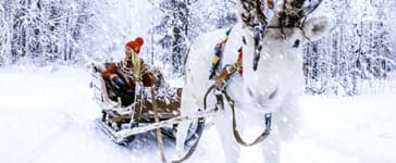 S'intégrer sur place