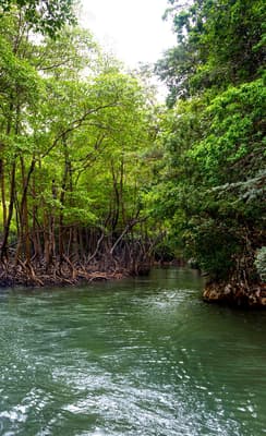 Le Parc National El Choco