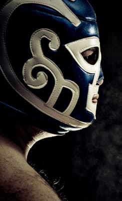 La lucha libre