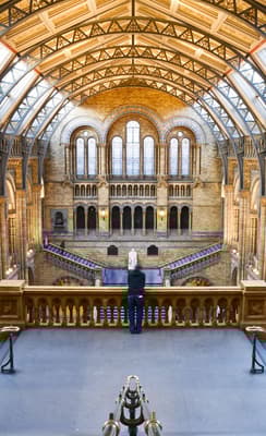 Les musées