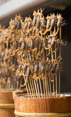 La Wangfujing Snack Street