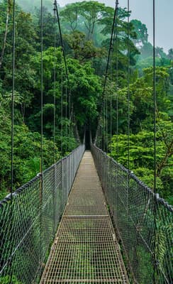Monteverde 