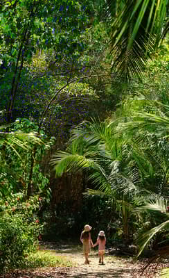 Le Corcovado