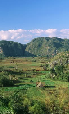 La vallée de Viñales