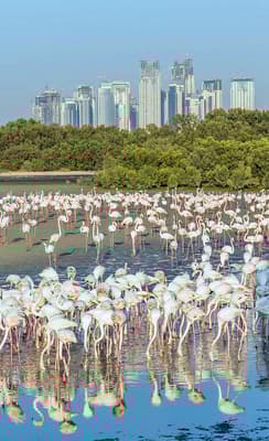 Ras al Khor