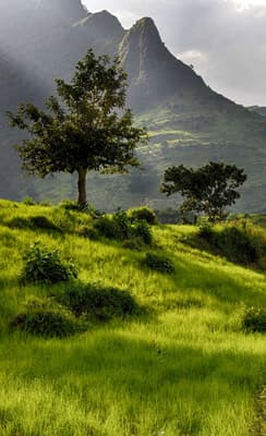 Le Parc National du Simien