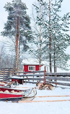 Rovaniemi