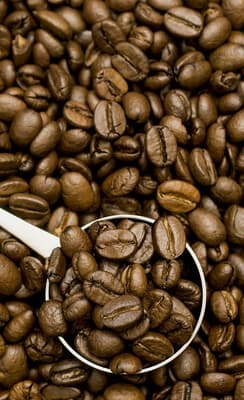 Le musée du café