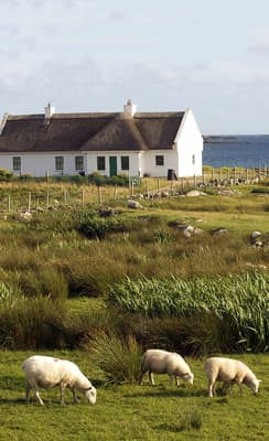 Les lacs du Connemara