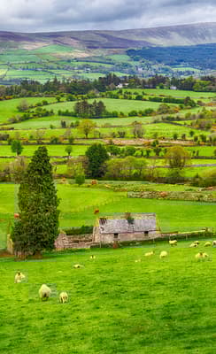 Le Donegal
