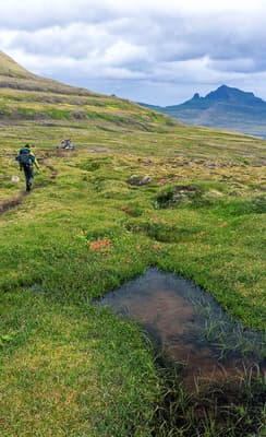 La réserve Naturelle d’Hornstrandir