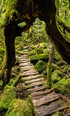 Yakushima