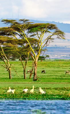La Rift Valley