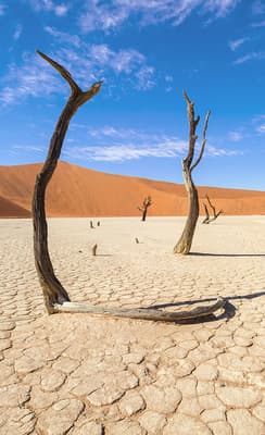 Le Désert du Namib