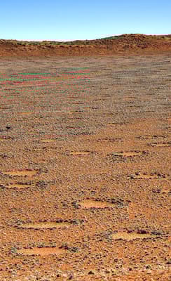 Les cercles de fée 