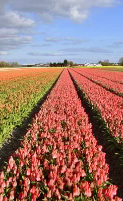 Heemstede