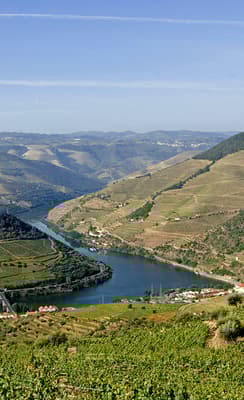 Vallée du Douro