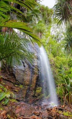 La Vallée de Mai