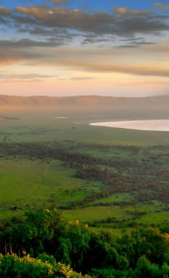 Le cratère du Ngorongoro